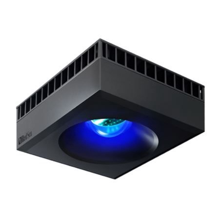 ĐÈN CAO CẤP- ĐÈN CHO HỒ CUBIC REEFLED