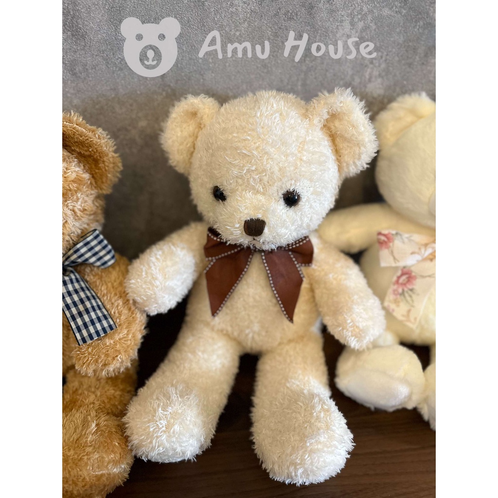 Gấu bông Teddy nhỏ dễ thương, Gấu bông Teddy love 25-35cm