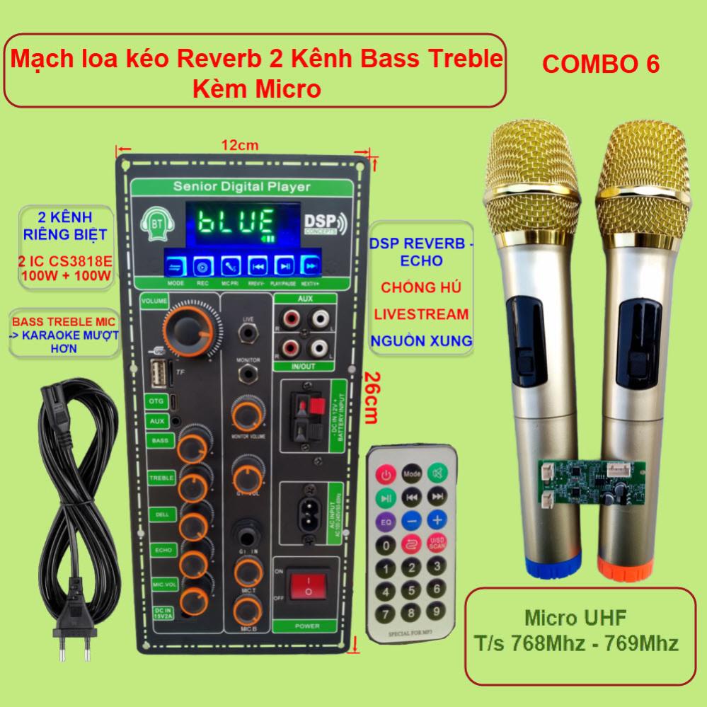 Mạch loa kéo 2 kênh OTG Livestream Chống hú DSP Reverb – Echo 2 IC CS3818E 100W + 100W – Loa kéo 3 tấc đôi Kèm Micro