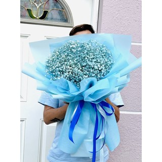 Bó hoa baby 1kg nhiều màu