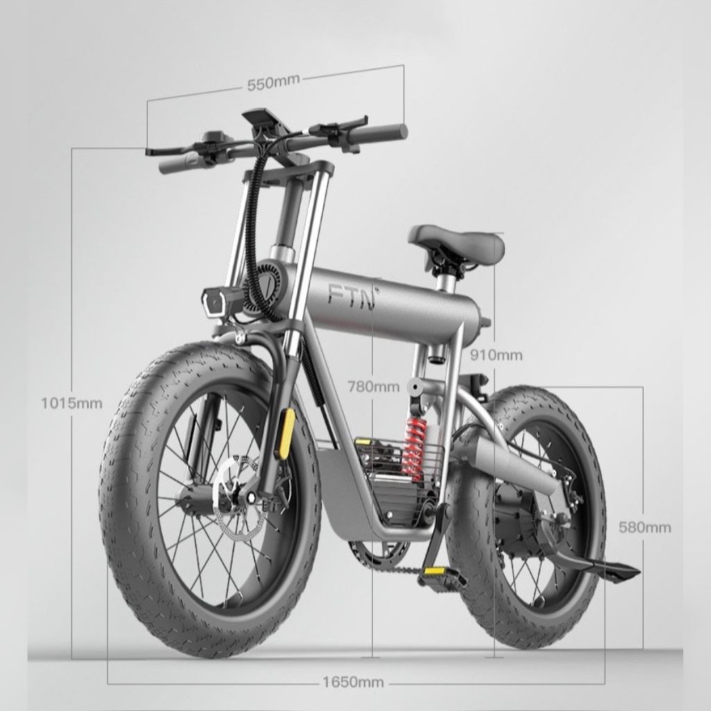 Xe đạp điện Coswheel FTN T20  Ebikevn EBCOT20150223