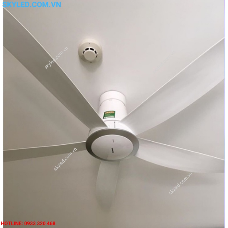 Quạt trân 5 cánh F-60TDN - F-60TDN-S có điều khiển từ xa Panasonic