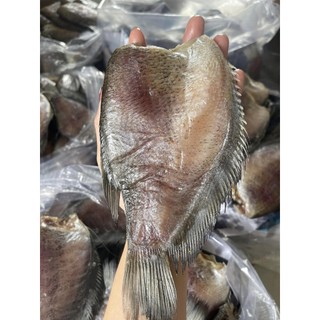 Khô sặc bổi to,hút chân không rất kỹ lưỡng