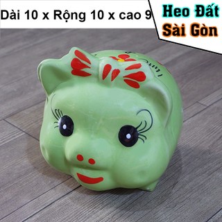 Heo Đất,Lợn sứ, heo mini nơ