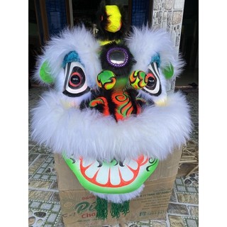 Đầu lân cho trẻ từ lớp 6 đến lớp 9