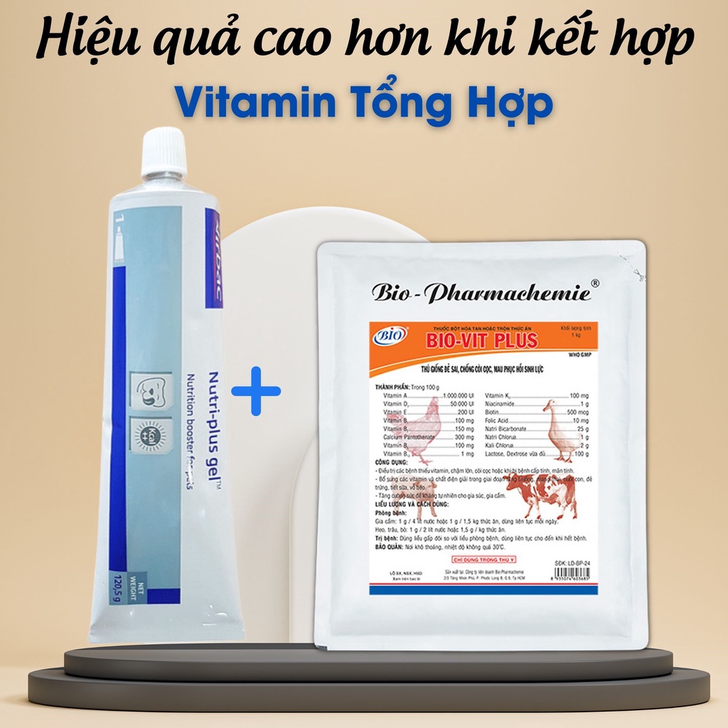 Gel Dinh Dưỡng Bổ Sung Vitamin Cho Chó Mèo Virbac - Vitamin Cho Chó Và Cho Mèo Hỗ Trợ Các Bệnh Về Đường Tiêu Hóa