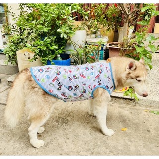 ÁO THUN GIÁ RẺ CHO CHÓ LỚN