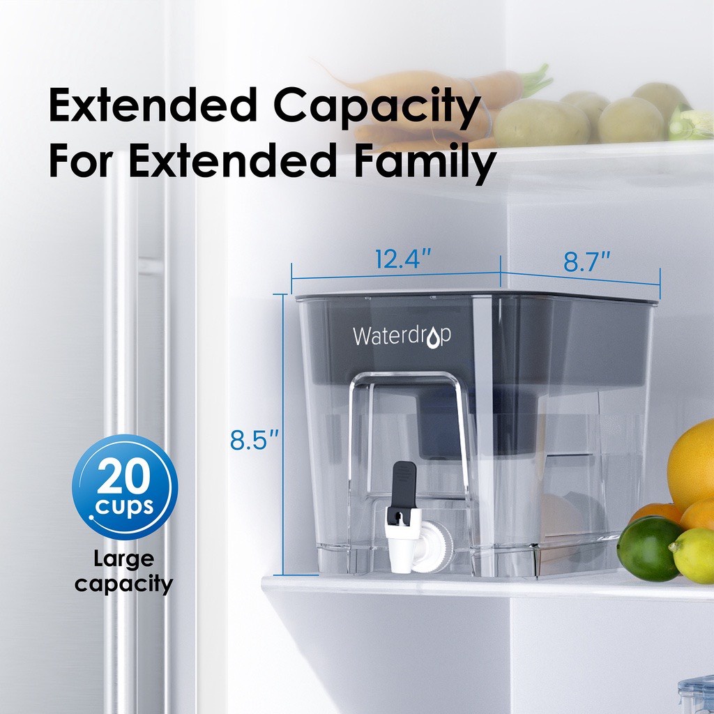 [Chính hãng] Bình lọc nước Waterdrop USA WD-WFD-22L với 1 lõi lọc