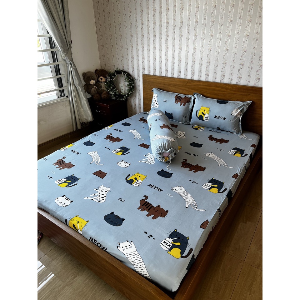 Bộ ga thun lạnh Mèo Xám 4 món ga thun hàn quốc chuyên dra thun lạnh đủ kích thước ga nệm 1m6, 1m8