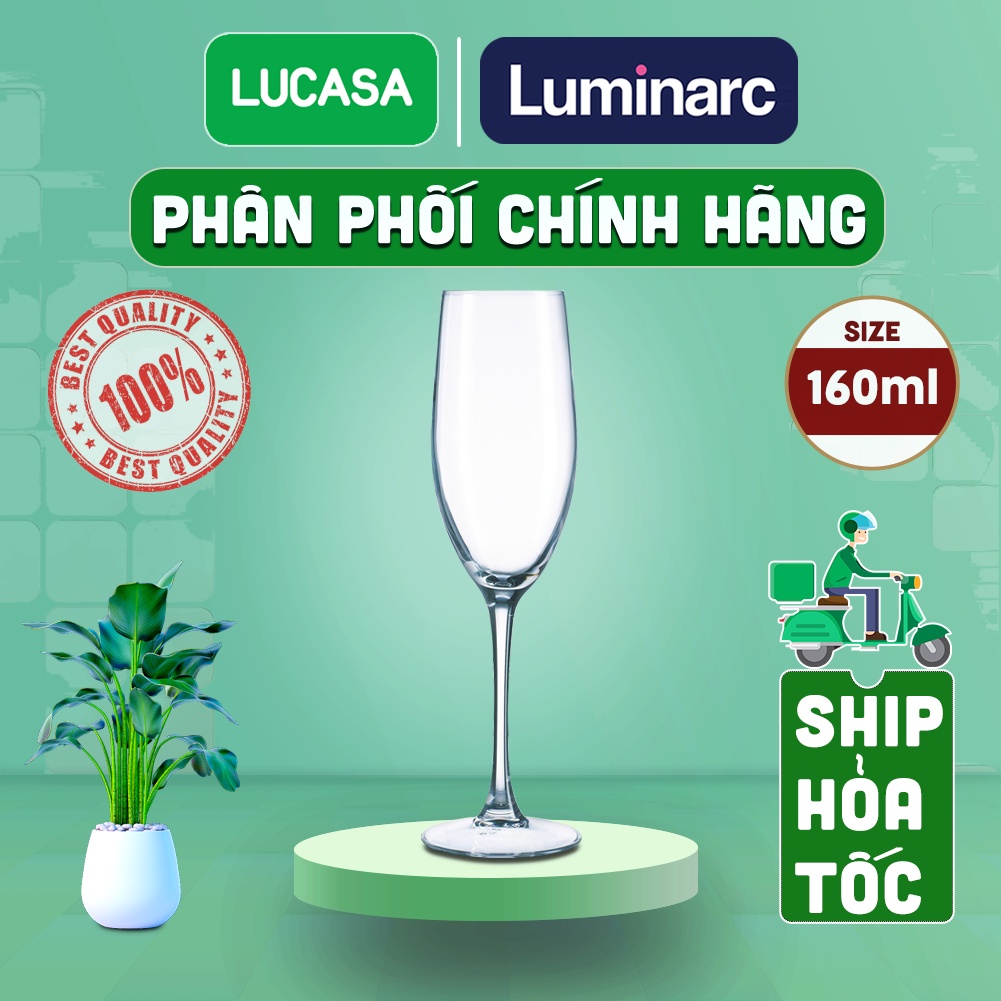 Bộ 4 Ly Rượu Champagne Thủy Tinh Luminarc World Wine 160ml - BOL8981 | Phân Phối Chính Hãng