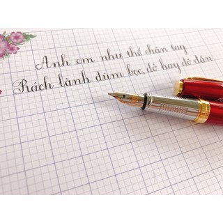 🌼 Bút máy luyện chữ đẹp LeTa 033