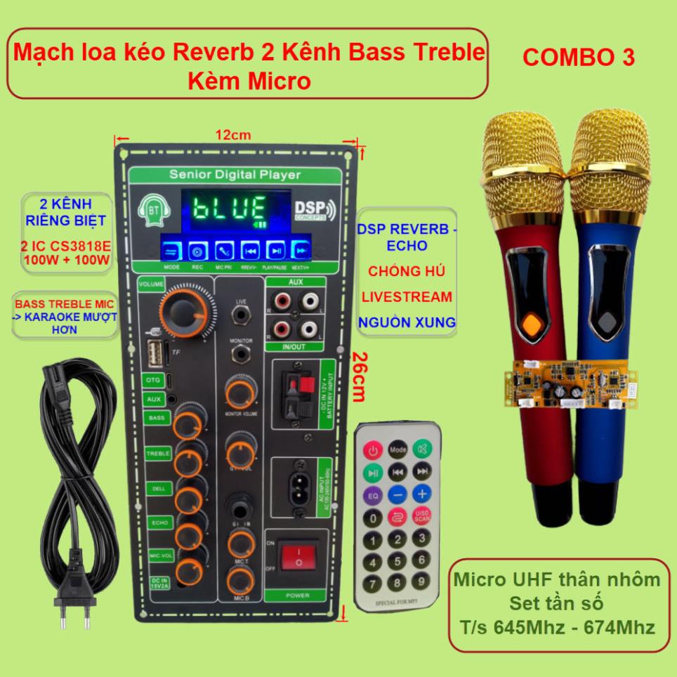 Mạch loa kéo 2 kênh OTG Livestream Chống hú DSP Reverb – Echo 2 IC CS3818E 100W + 100W – Loa kéo 3 tấc đôi Kèm Micro