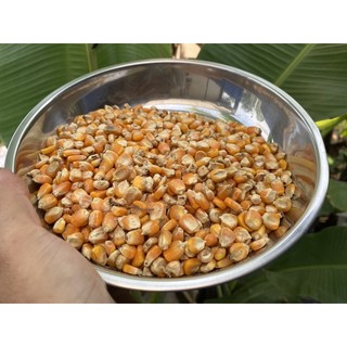 500g Bắp nguyên hạt