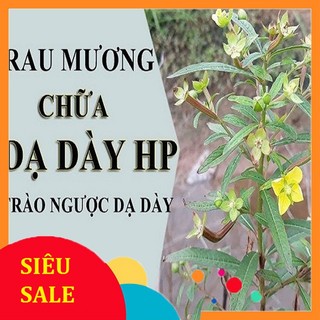 Rau mương khô 1kg