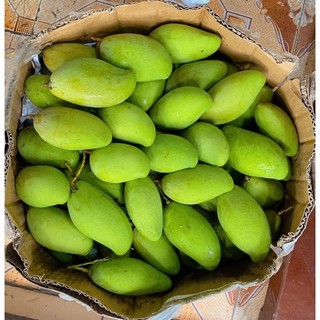 1kg xoài bao tử đài loan