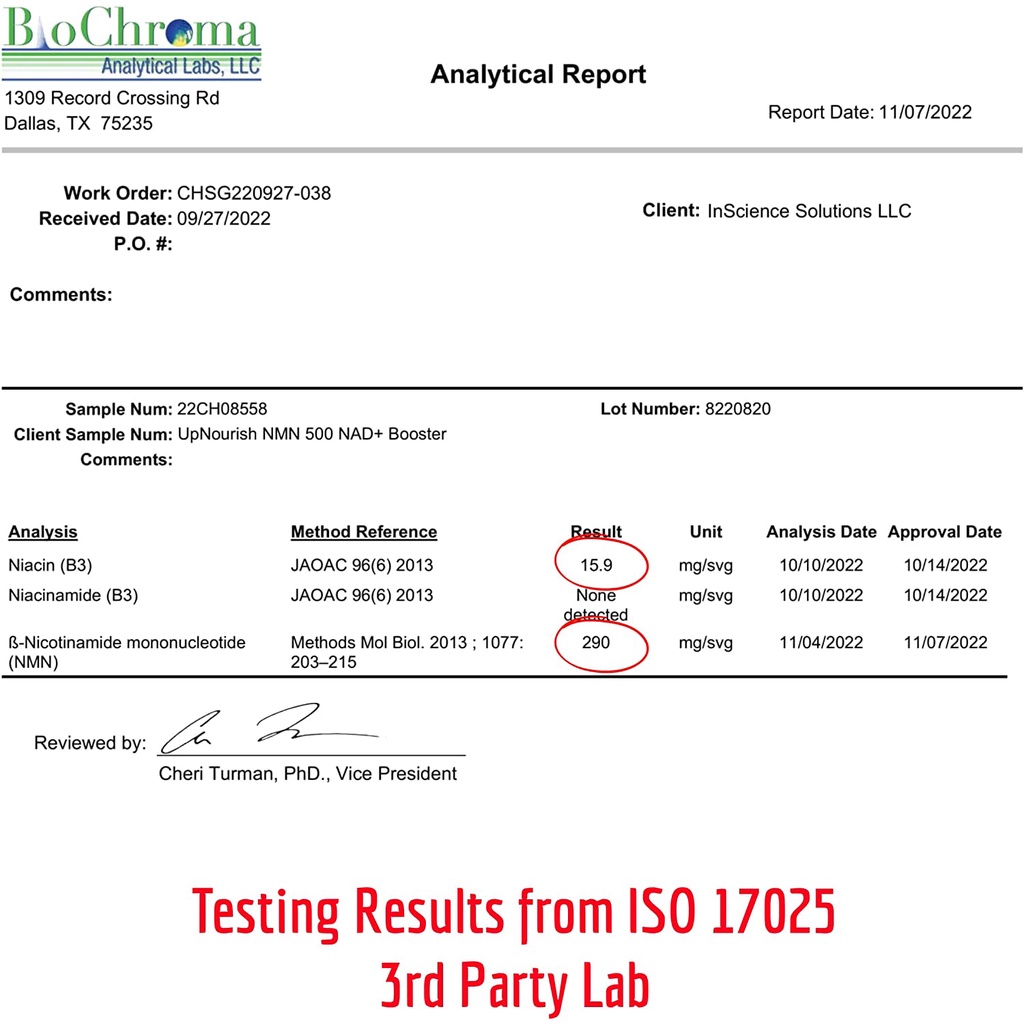 Viên NMN, Nad Plus, NR - Chống Lão Hóa - Sửa Chữa Tế Bào - Nicotinamide Mononucleotide - Upnourish