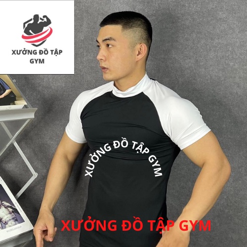 Áo Thể Thao Nam LA Sport thun lạnh tập gym cổ tròn ngắn tay vải thoáng mát co giãn chuẩn form nhiều màu