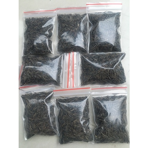 HẠT GIỐNG HOA SAO NHÁI, HOA THỌ TÂY MIX MÀU # HẠT GIỐNG NHANH NẢY MẦM_HOA ĐẸP, LÂU TÀN