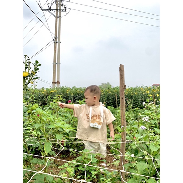 Áo thun, áo phông cotton 100% cho bé in chữ EMBE phong cách Hàn Quốc