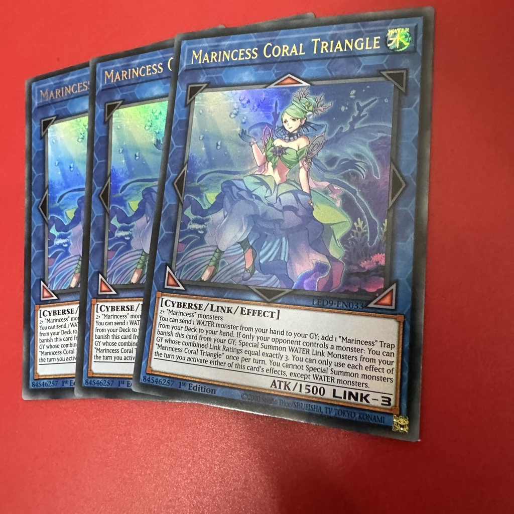 Marincess Coral Triangle