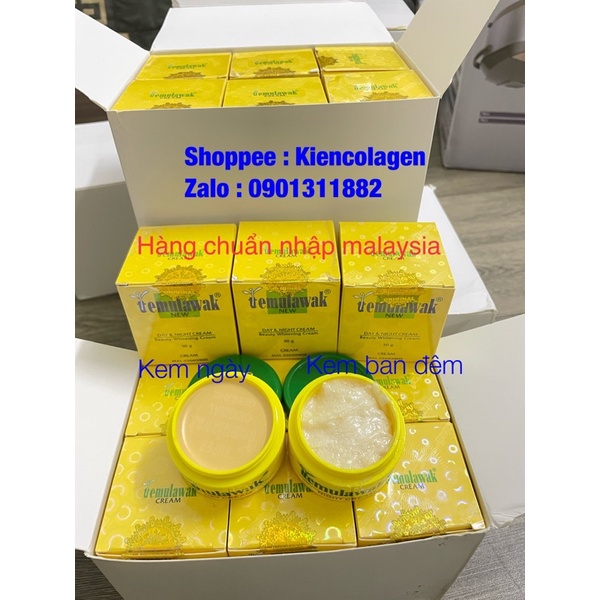 Kem TEMULAWAK giảm nám, mờ thâm, trắng và căng bóng da ngày và đêm