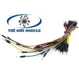 Bó dây cắm test board 65 sợi