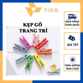 Set 10 cái kẹp gỗ đủ màu 3.5cm trang trí