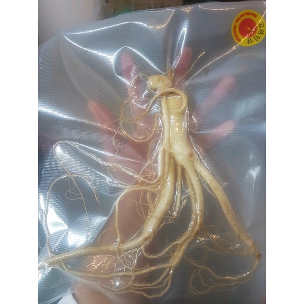 Nhân sâm Hàn Quốc