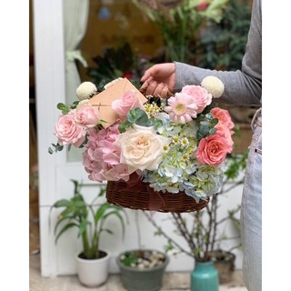 Giỏ hoa Cẩm tú cầu hồng nhạt | Tặng khai trương Sinh nhật | Maypetals
