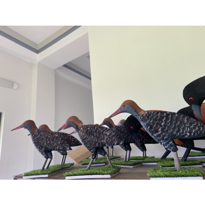 Chim chằng nghịch mồi giả .