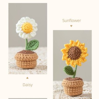 Chậu Hoa Mini Bằng Len