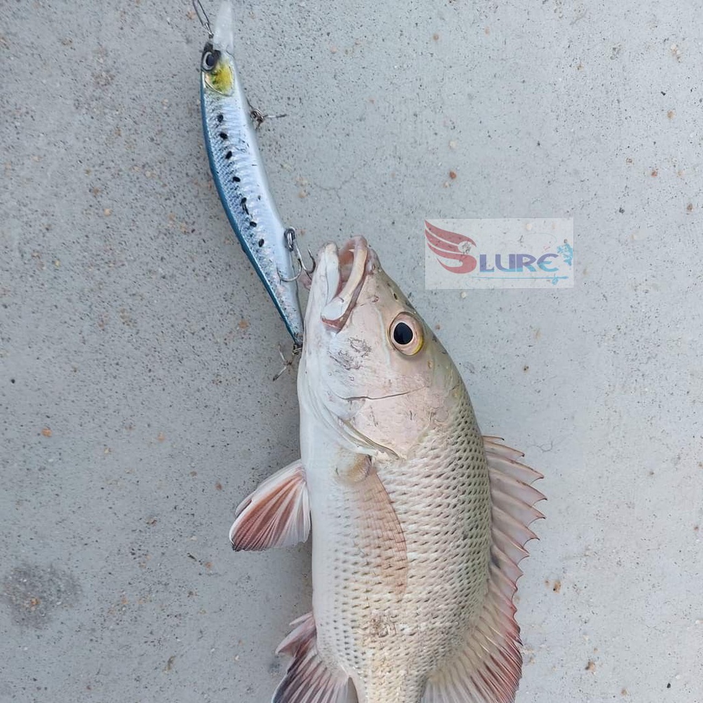 Mồi giả câu cá, lure DW51 13.5cm/17.5g