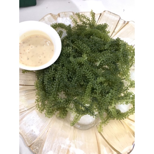 NƯỚC CHẤM MÈ RANG 1Lít, 180ml