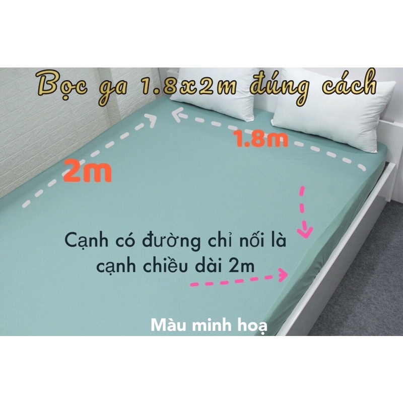 Ga lẻ thun lạnh hq - không vỏ gối link 3