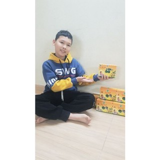đèn đuổi muỗi tam bảo an