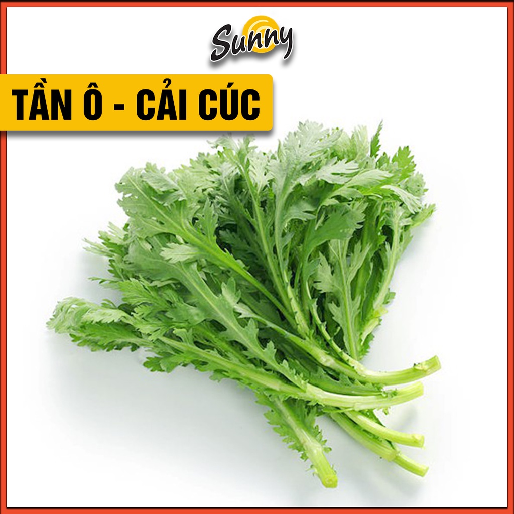8000 Hạt giống Rau Tần Ô, Cải Cúc Nếp, lá to, không đắng, mùi thơm đặc biệt, lai F1 nên kháng bệnh chịu nhiệt tốt
