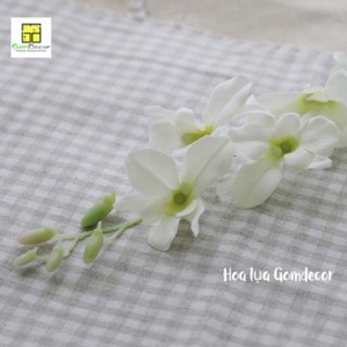 Hoa lan giả hoa lụa đẹp cao cấp