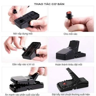 Kẹp chuột thông minh, chuột dễ dàng sập bẫy