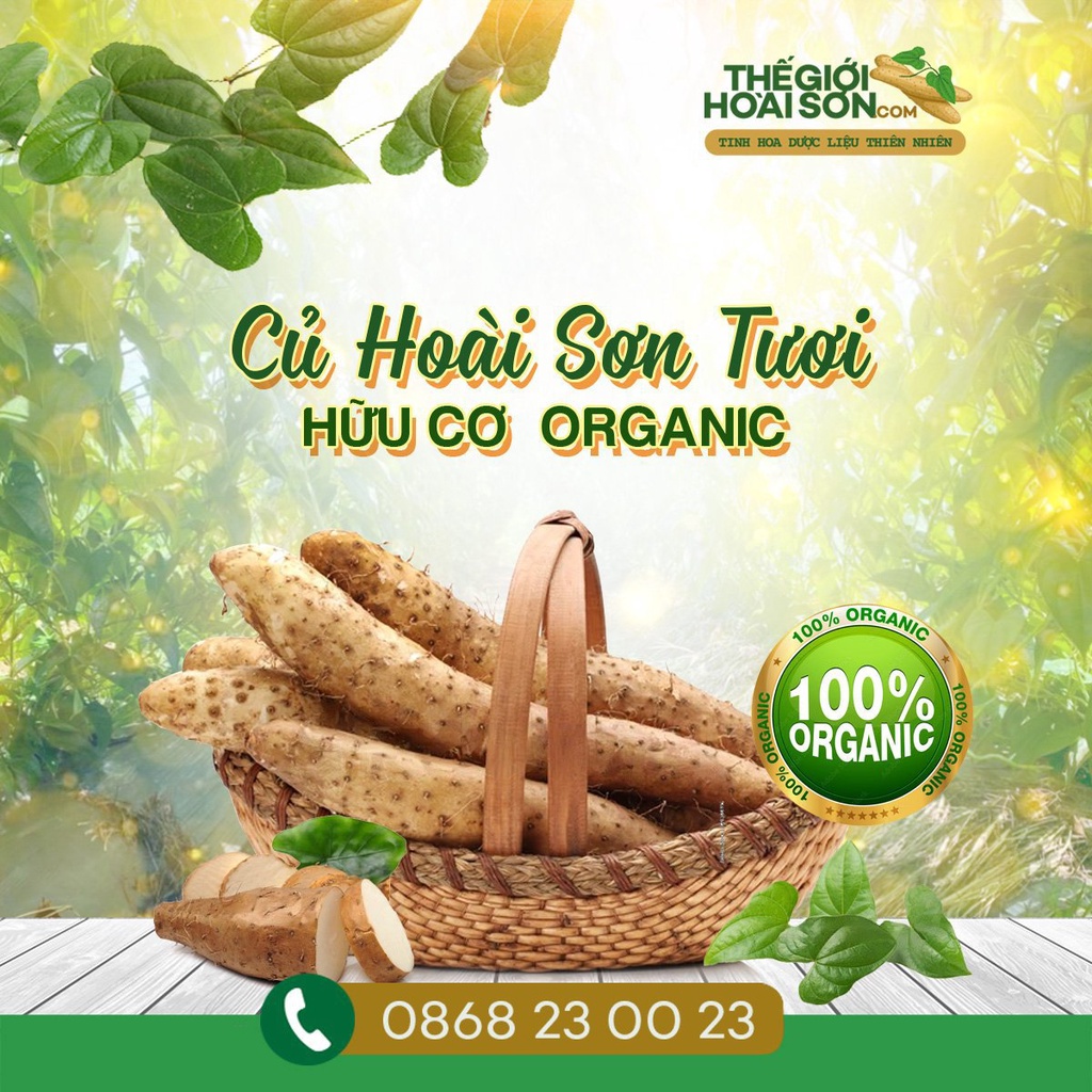 1kg củ hoài sơn, củ mài Thế giới Hoài Sơn chứng nhận Global G.A.P tốt cho tiêu hóa, tiểu đường