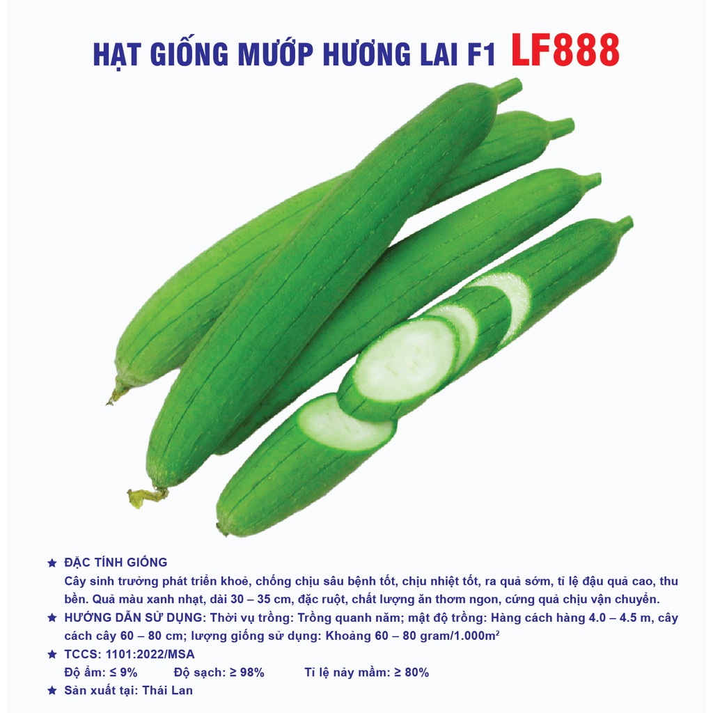 Hạt giống mướp hương lai F1 LF888