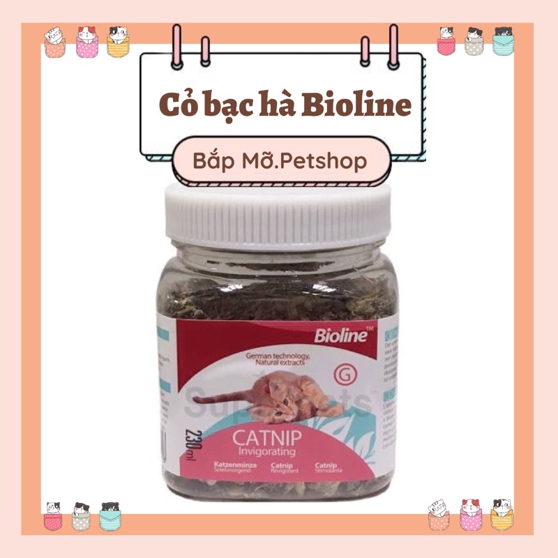 Cỏ mèo catnip bạc hà Bioline cho mèo vui vẻ, hiếu động - Hủ 250ml