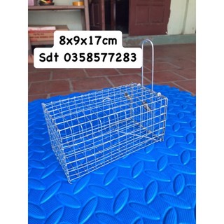 Lồng bắt chuột dưới 5 lạng.8.9.17cm