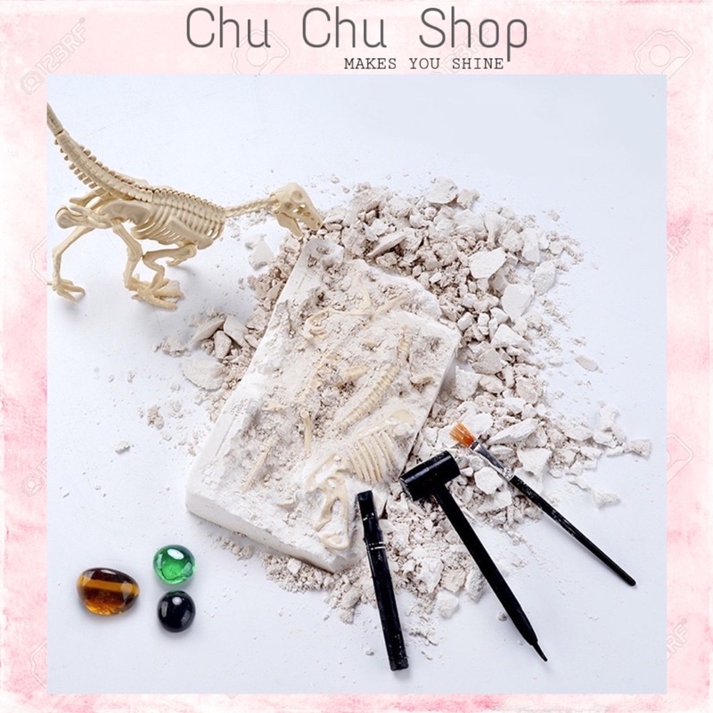 Đồ Chơi Đào Hoá Thạch Khủng Long Khảo Cổ Mini Vui Nhộn Cho Bé_Hoả Tốc HCM