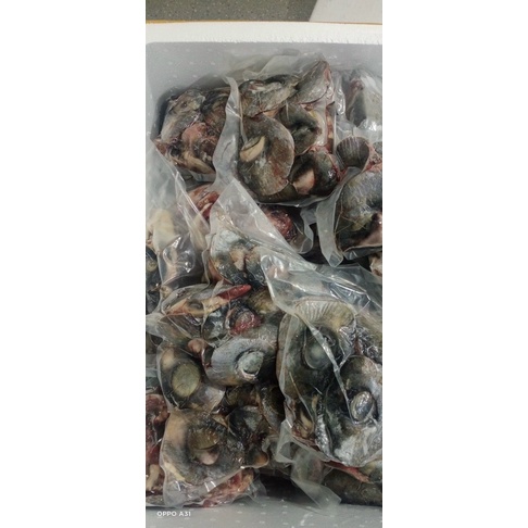 Mắt cá ngừ đại dương loại I- 1kg (4-5 mắt)