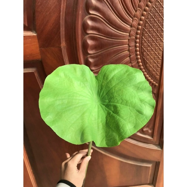 Sen quan âm _ hoa giả trang trí