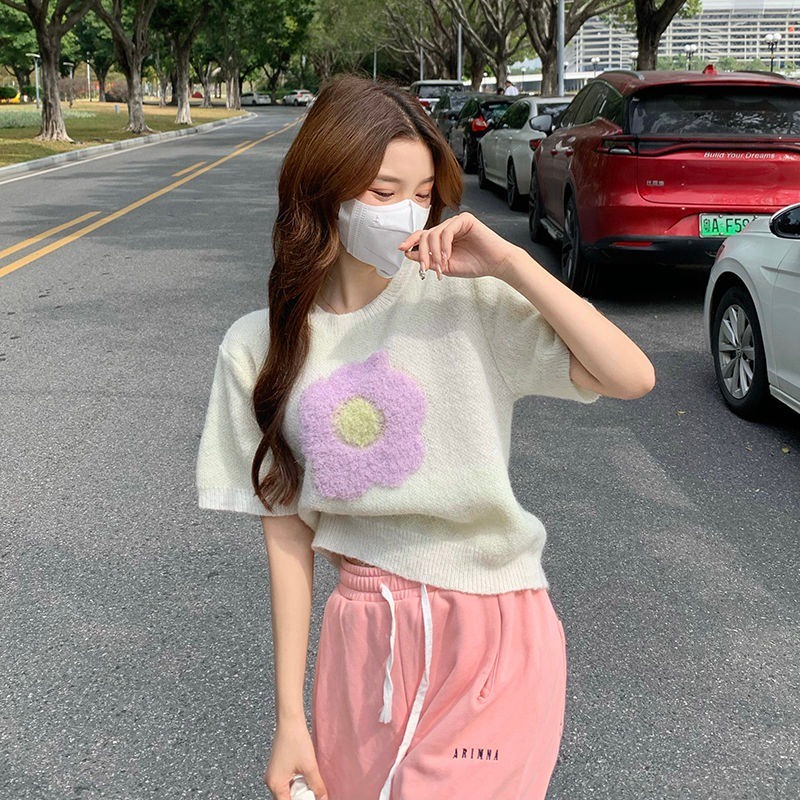 Áo sweater ngắn tay cổ tròn thêu hoa phong cách Hàn Quốc | BigBuy360 - bigbuy360.vn