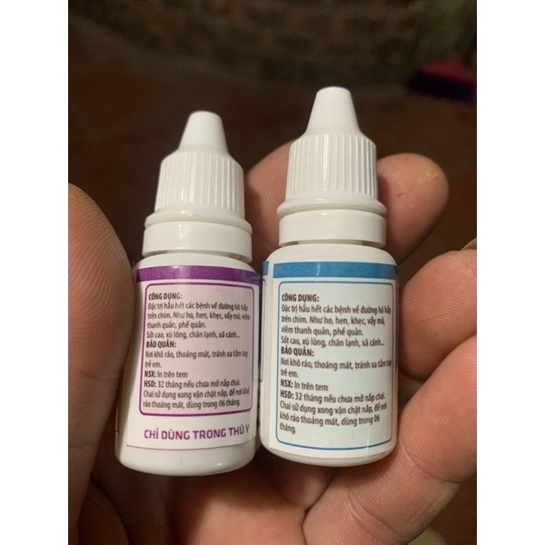 PQ-01 Lão Đại chữ a ho hen vảy mỏ chim canh