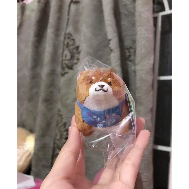 Gấu bông mochishiba nhí