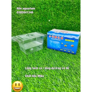 Lồng đẻ cho cá, tép cảnh bằng mika- box tách cá đẻ