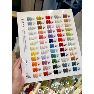  Set sơn gel TAO 60 màu chính hãng - Bộ sơn gấu cao cấp tông màu Hàn Quốc tặng kèm bảng màu và cặp base top 